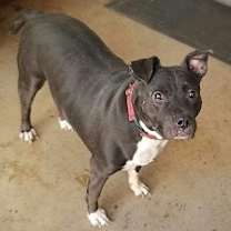 Thumbnail photo of Tinker #2