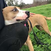 Thumbnail photo of Sally #2