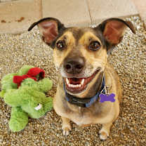 Thumbnail photo of Holly #3