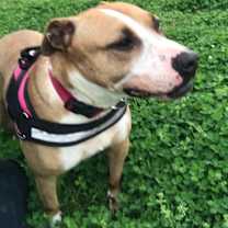 Thumbnail photo of Sally #3