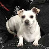 Thumbnail photo of Reyna #3