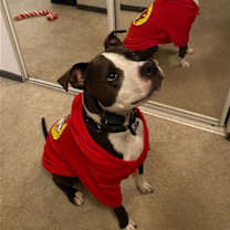 Thumbnail photo of Dany #2