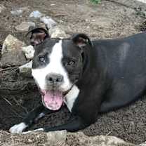 Thumbnail photo of Dany #4