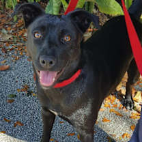 Thumbnail photo of Jasmine #1