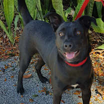 Thumbnail photo of Jasmine #2