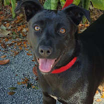 Thumbnail photo of Jasmine #3