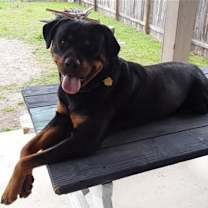 Thumbnail photo of Max #1