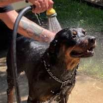 Thumbnail photo of Max #2