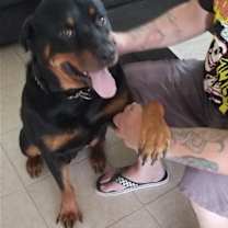 Thumbnail photo of Max #4