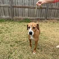 Thumbnail photo of Remi #3