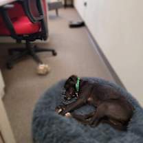 Thumbnail photo of Max #3