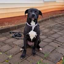 Thumbnail photo of Max #4