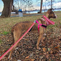 Thumbnail photo of Salem #3