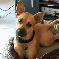 Thumbnail photo of Roo #1