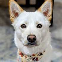 Thumbnail photo of Aiden #2