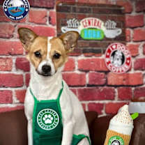 Thumbnail photo of Bagel #1