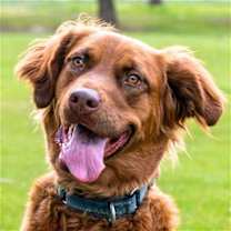 Thumbnail photo of June Carter #1