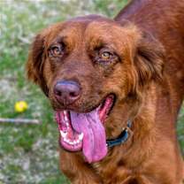 Thumbnail photo of June Carter #2