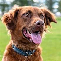 Thumbnail photo of June Carter #3