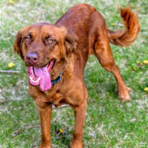 Thumbnail photo of June Carter #4