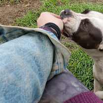 Thumbnail photo of CHICA #3