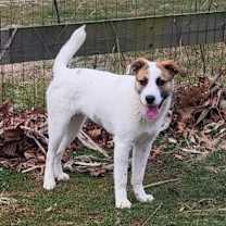 Thumbnail photo of Beezie #1
