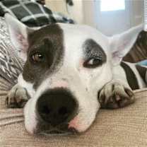 Thumbnail photo of Ava Ariel #1
