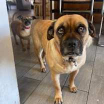 Thumbnail photo of KIWI & MIMI #3