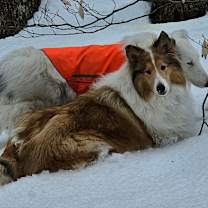 Thumbnail photo of Kip #4
