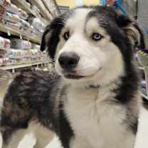 Thumbnail photo of Fred #1