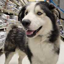 Thumbnail photo of Fred #2