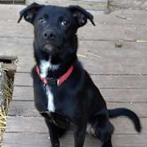 Thumbnail photo of Sophia #2