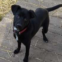 Thumbnail photo of Sophia #3