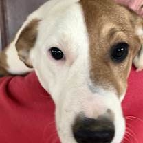 Thumbnail photo of Tucker #1