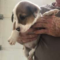 Thumbnail photo of Tucker #3