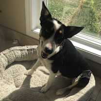 Thumbnail photo of Tucker #4