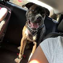 Thumbnail photo of Ace #1