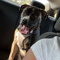 Thumbnail photo of Ace #3