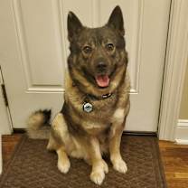 Thumbnail photo of Bosco #1