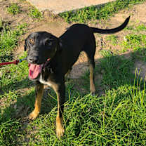 Thumbnail photo of Yosef #1