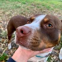 Thumbnail photo of Rocky #2