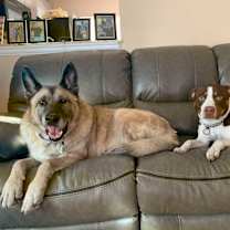 Thumbnail photo of Rocky #3