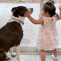 Thumbnail photo of Rocky #4