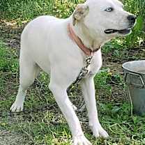 Thumbnail photo of Sugar #1