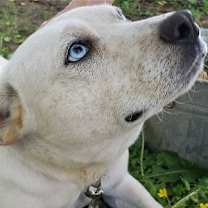 Thumbnail photo of Sugar #2