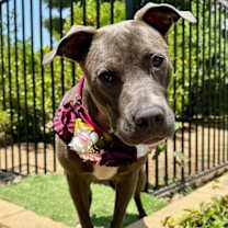 Thumbnail photo of Jada #3