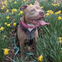 Thumbnail photo of Penny #1