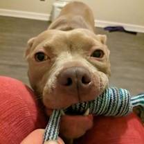 Thumbnail photo of Penny #3