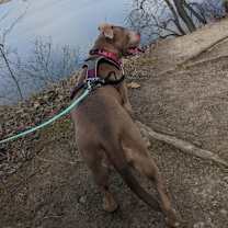 Thumbnail photo of Penny #4