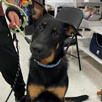 Thumbnail photo of Jake #1
